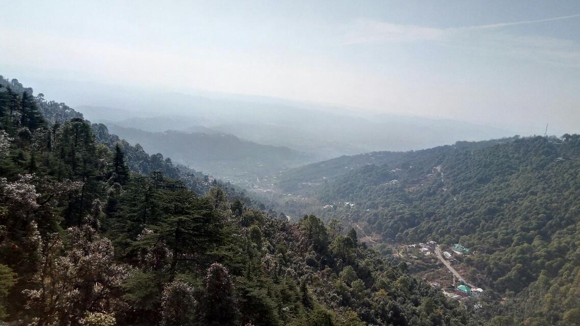 Hotel Grand Hill Dharamsala Exteriér fotografie